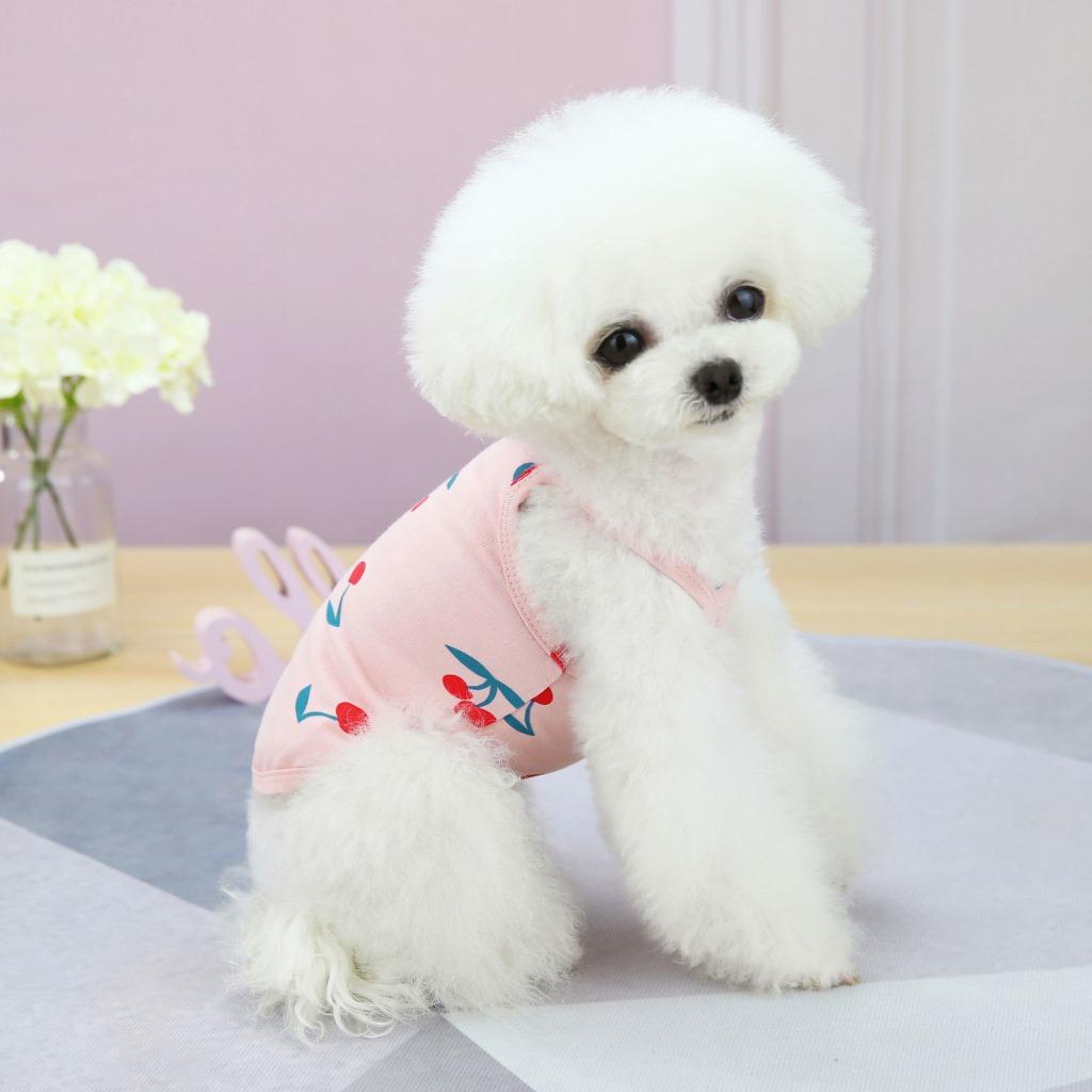 Pet Dog Clothes Spring and Summer Thin Teddy Bichon Pomeranian Yorkshire Terrier Small Dog Cat Vest Cherry Suspender