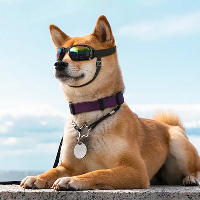 Windproof Anti-fog Eye Protection UV-proof Lenses Comfortable Pet Goggles for Outdoor
