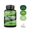 Plant Based Protein Capsules 120 Count — Daily Wellness, Nutritional Support, Overall Wellness