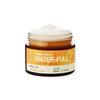 Vitality Shine Waterful Vitamin Moisture Cream 50ml