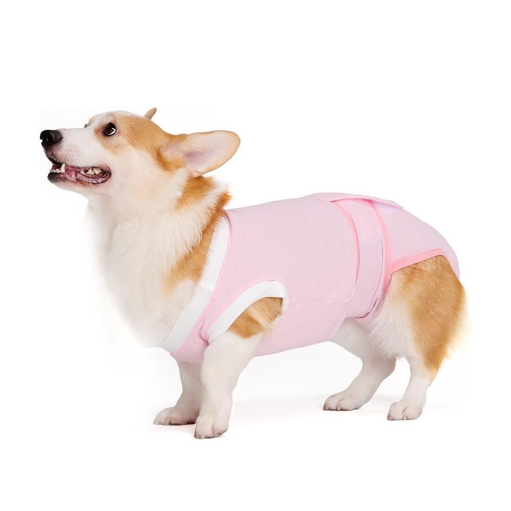 

Anti-Licking Dog Sterilization Suit Adjustable Dog Sanitary Pants Spay Neuter Recovery M рожевий