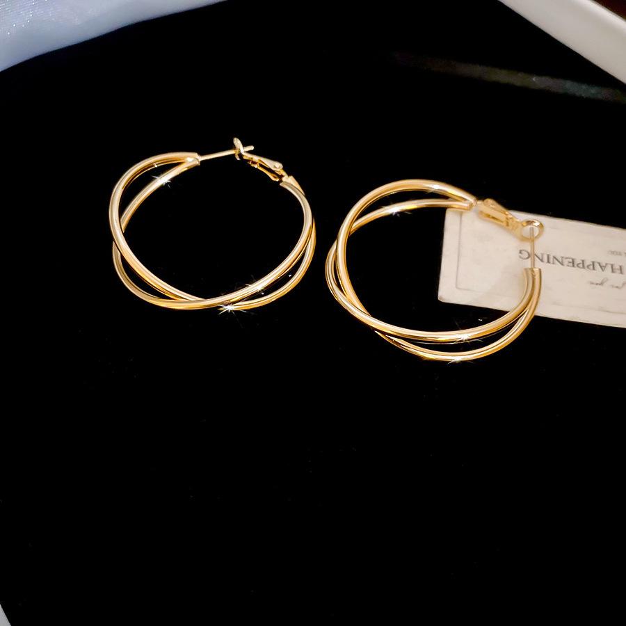 Crushed Silver Zircon Gold Circle Earrings Earrings European and American Earrings Design Sense Niche