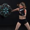 Smart Bluetooth Music Boxing Machine De compression Fighting Fitness Home Boxing Wall Target Boxing Trainer Boxing Accessories