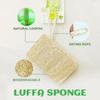 Natural Non Scratch Scrub Sponge Eco Friendly and Compostable Plant Fiber Loofah Dish Sponge Kitchen Scrubbers for Dish Biodegradable Cleaning Sponges
