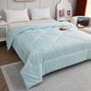 Begaman BGM-B2320 Warm Cotton Anti-Mite Quilt