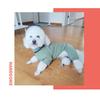 Warm Cotton Pet Dog Coat Winter Jacket Small Medium Large Breeds Teddy Bichon Pomeranian Four Legs
