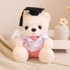 Stuffed Toy Doctor Cap Graduation Bear Doll Cartoon Bear Animal Doll Bachelor Bear Plush Toy  Kids