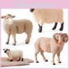 Sheep Farm Animal Pvc Static Figures Collection With Natural Appearance For Educational Use And Display