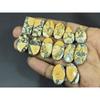 12X20-13X25MM Natural Maligano Jasper Mix Cabochon Loose Gemstone 7Pair Lot C-3949