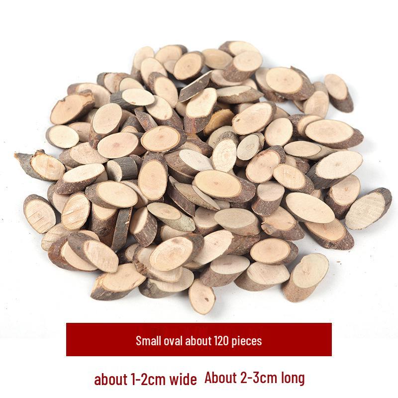 Wood Chips & Tree Slices DIY Craft Kit for Kids