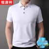 Hengyuanxiang Men's Summer Ice Silk Short Sleeve Polo Shirt