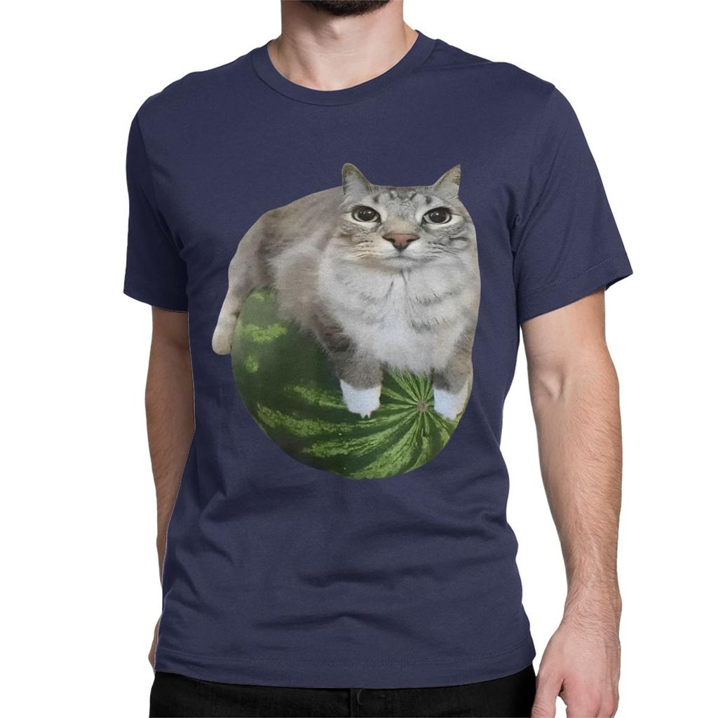 Watermelon Cat Silly T Shirt for Men Women 100 Cotton TShirt Round Collar Funny Meme Tee Shirt Short Sleeve Clothes Plus Size