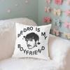 Funny PPedroPascalMMoodMeme Case Plush Fabric Soft Pillowcase Double Sided Print Cushion Cover Household Gifts