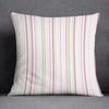 Pink Fresh Collection Pillow Gift Home Office Decoration  Bedroom Sofa Car Cushion Cover case