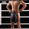 Mens Fight Shorts BJJ MMA Training Grappling Cage Fighting Athletic