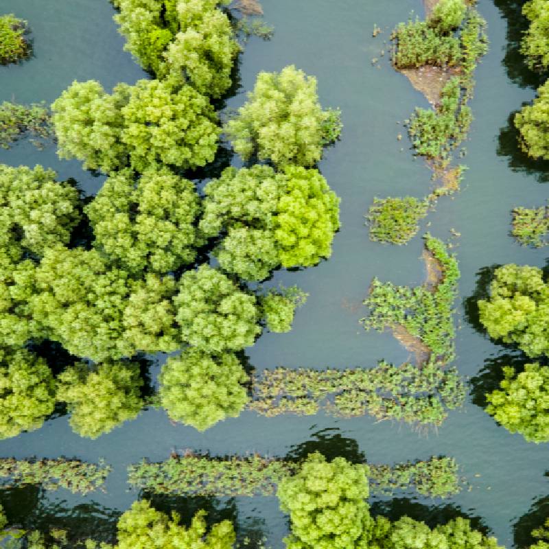 3 in 1 Dashboard Anti Slip Mat with Phone Mount 360-Degree Rotation Car Phone Holder Non-Slip Adhesive Mat w/Mobile Phone Number