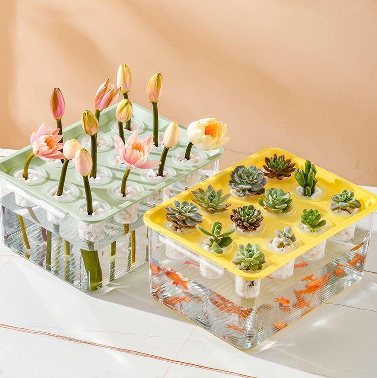 Gjennomsiktig Fallsikker Akvarium: Rundt/Firkantet Design for Hjem & Kontor, Egnet for Skilpadder & Medium Fisk.