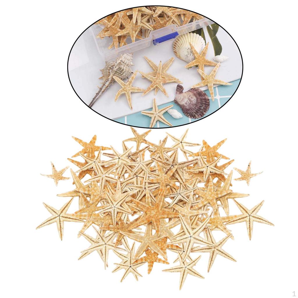 for Wedding Decor Beach Theme Party, Home Decorations,crafts, Fish Tank Landscape