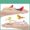 Realistic Parrot Model Pvc Desk Decor For Kids Education And Learning