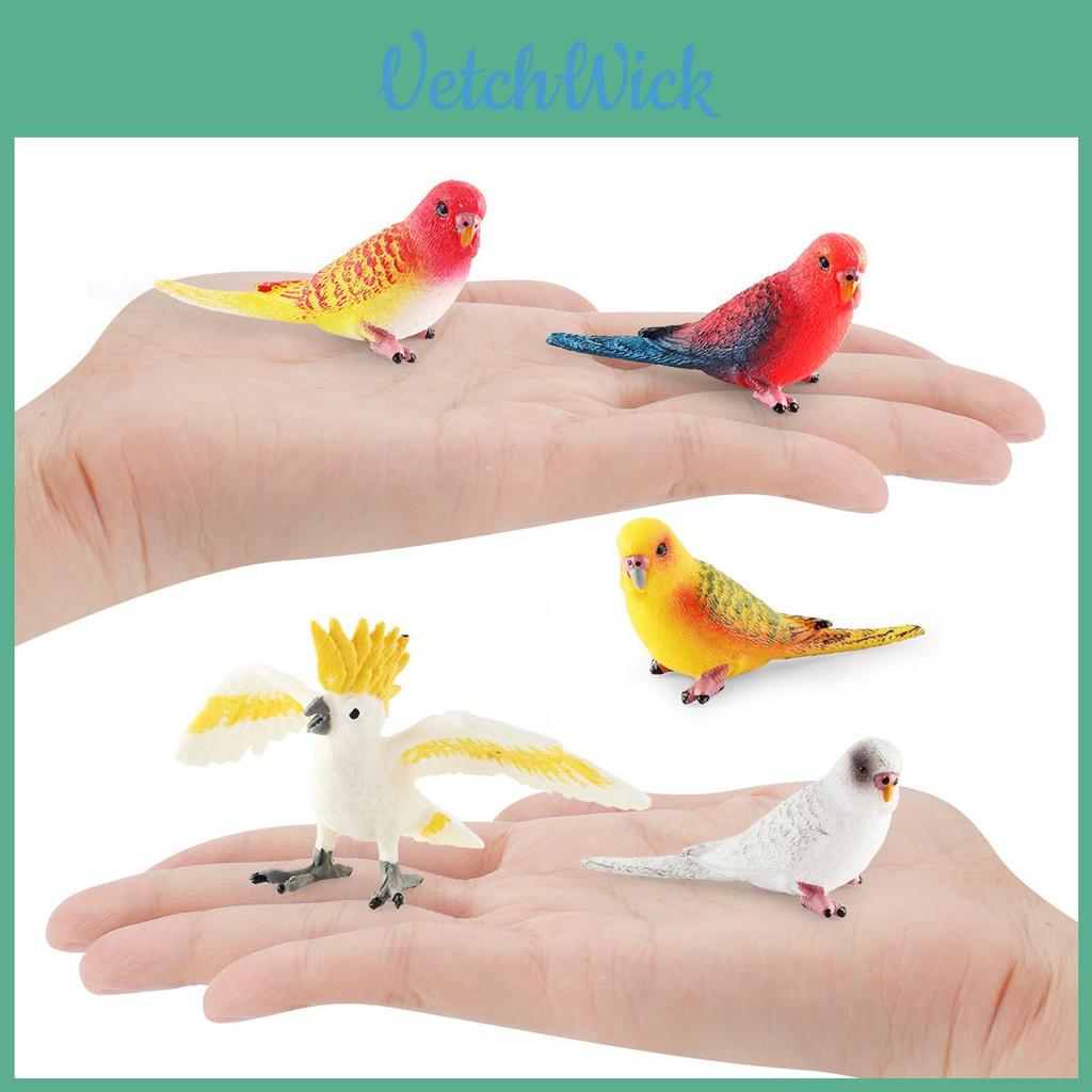 Realistic Parrot Model Pvc Desk Decor For Kids Education And Learning