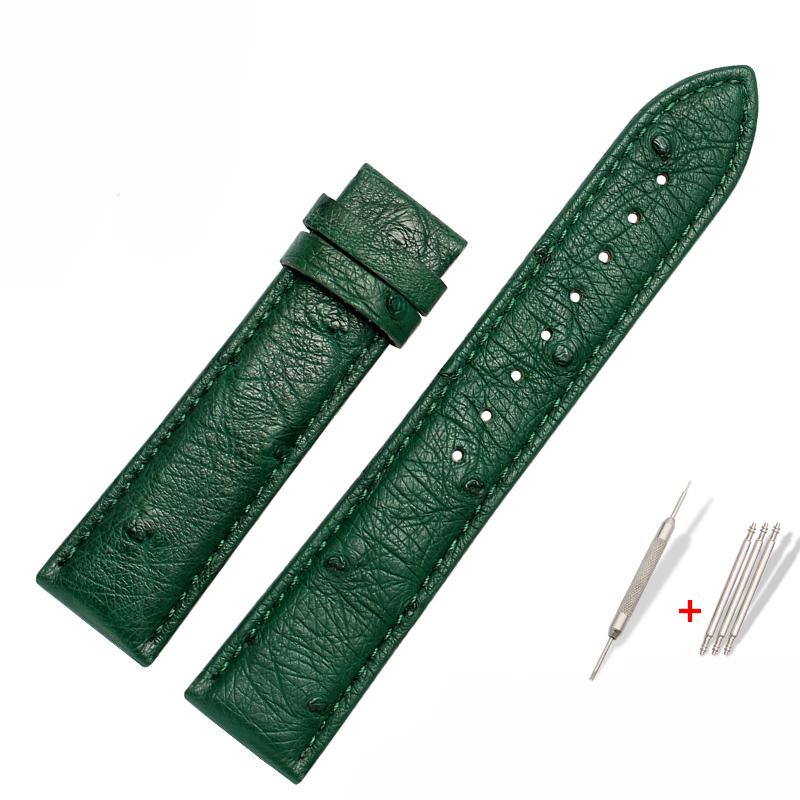 Genuine Watchband Ostrich Leather Strap Fit Seiko Omega Citizen Universal Bracelet 18mm 20mm 21mm 22mm Watch Band Brown Green