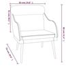351443 vidaXL Armchair Cream 63x76x80 Cm Velvet