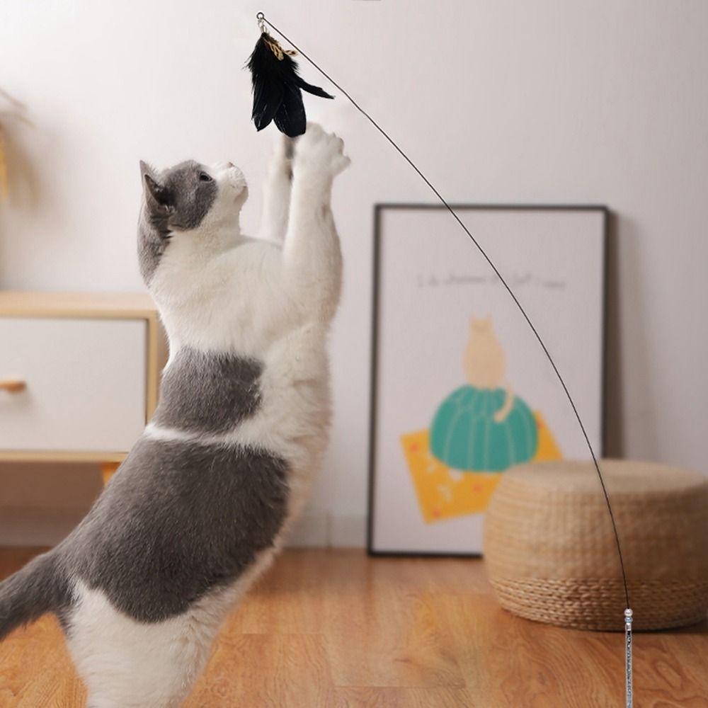 

Interactive With Suction Cup Pet Accessories Kitten Play Teaser Wand Cat Supplies Cat Stick Cat Toy