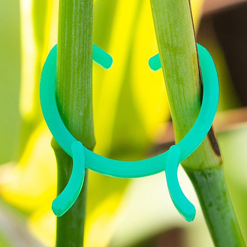 Grape Plant Clips Vegetable Lever Ring to Fix Stems 300 pcs Plant Support Climbing Plants Garden Tomato
