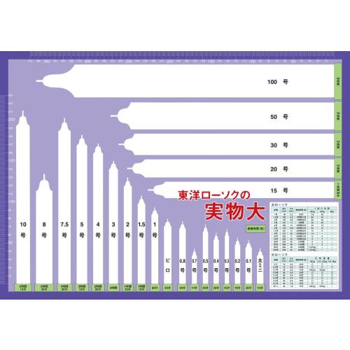 Zoo Eido Nihon Candle Toyo Candle Large 7.5 450g