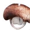 Mushroom Hat Funny Head Cover for Role Playing Holiday Themed Parties Birthday