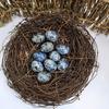 20pcs Mineral Crystal Assortments Eggs Gemstones Polished Worry Stones Ornaments