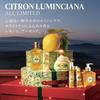 L'OCCITANE Luminciana Almond Hand Care Set Gift Set (Liquid Hand Soap + Hand Cream) [2024 Holiday Coffret] Christmas Present Gift Women Men Popular Ho