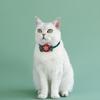 Pack of 2 Plush Pet Collars Funny Christmas Party Dogs Collar Pet Party Neckwear Cats Collar for Festival Celebration