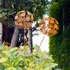 Progettazione giardini e paesaggi – Decorazioni per il giardino