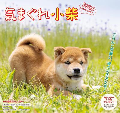 Whimsical Koshiba Calendar 2026 (Monthly/Wall-hanging/6-week Format) ([Calendar])