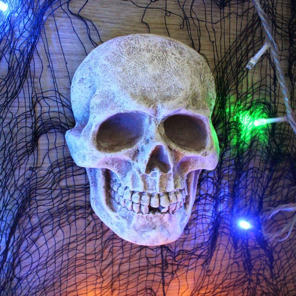 

Vintage Skull Bone Sculpture Resin Human Skeleton Holiday Party Decor