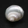 Natural White Conch Ring for Women Men Seashell Finger Rings Adjustable Silver Color Summer Beach Party Jewellery 25x30mm