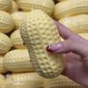 Simulation Flower Stress Relief DIY Squeeze Ball Toy