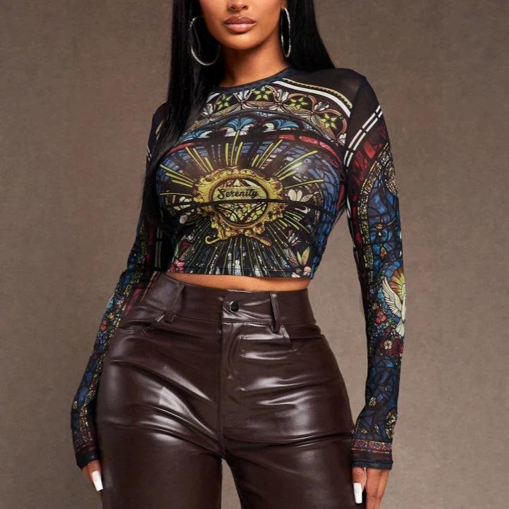 2026 New Retro Artistic Mesh Top, Personalized Painted Printed T-shirt, Elastic Micro-transparent Mesh Women