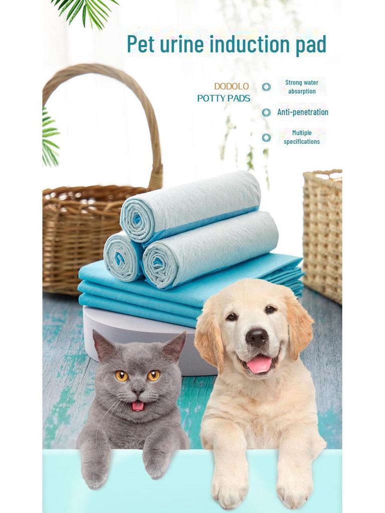 Absorbent Dog Diaper Pads - Deodorizing, Thick, 100-Pack, Ideal for Teddy & Golden Retrievers