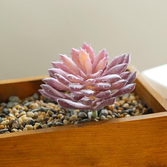 

Поддельный цветок Привлекательный декор долговечный lifelike Нет необходимости в уходе Искусственные растения для сада