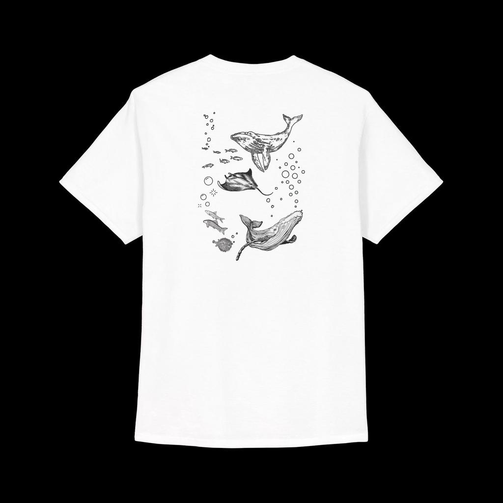 Whale Sketches Tee | Ocean Animals, Back Print