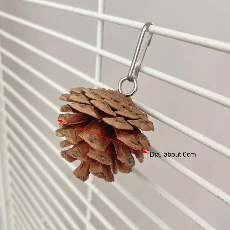 Natural Wood Pine Cones Pet Parrot Toy Bird Biting Exercise Climbing Standing Wooden Toys Pet Parrot Macaw Hammock Bird Toy