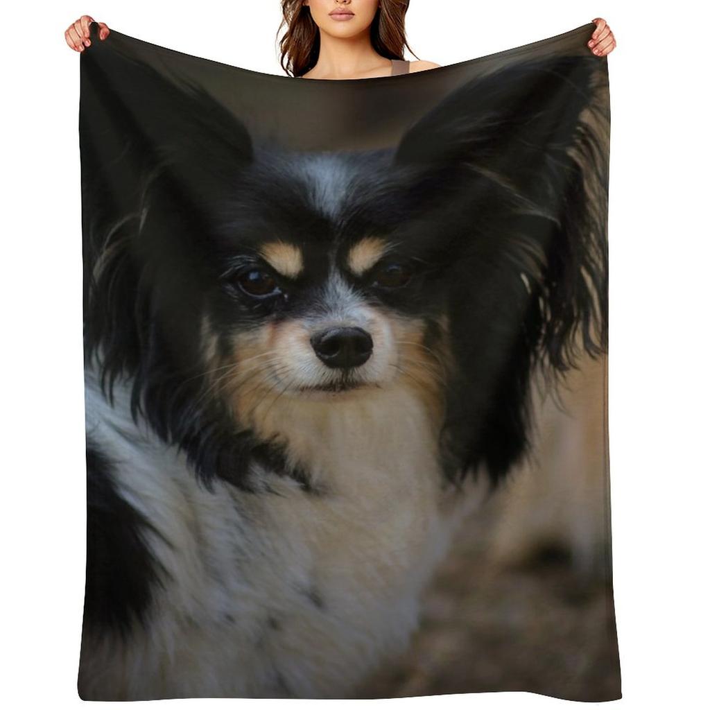 Papillon Pes Hodicí deka Termo Dětské Kempování Vintage Deky