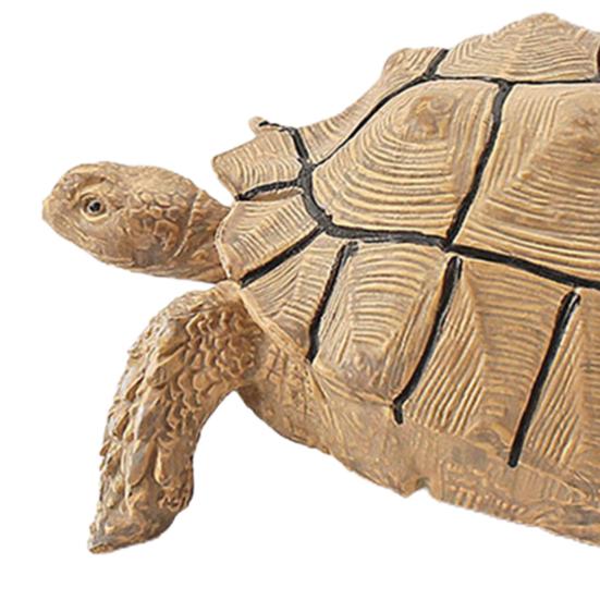 Turtle Cognitive Toys Adorable Delicate Plastic Galapagos Tortoise Decoration Model for Kids
