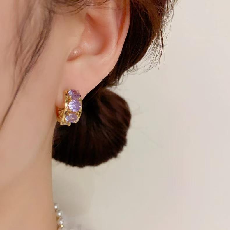 New Trendy Black Zircon Double-sided Ring Ear Buckles, Design Temperament Light Luxury High-end Earrings Earrings