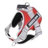 Dog Leash Explosion-proof Pet Chest and Back Strap, Medium and Large-sized Dog Anti-breakaway Dog Chest and Back Walking Leash