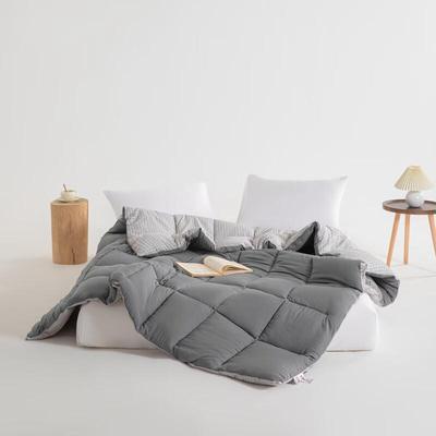 Muji Class A Antibacterial Graphene All-Season Quilt