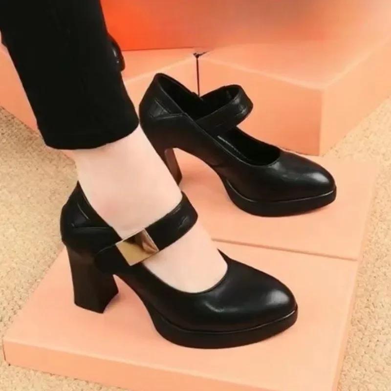 Fashion High heels women's shoes 2024 spring new British style pointed waterproof platform thick heel buckle women's fashion shoe list