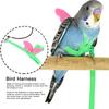 Outdoor Pet Bird Cute Harness Lsh Parrots Flying Training   Rope Straps
